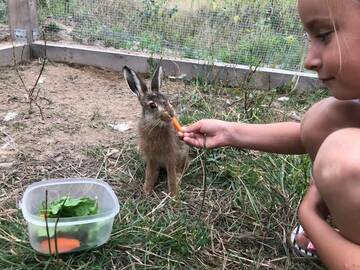 Фото номера Дом с 3 спальнями Дома для отпуска Wypoczynek na Mazurach U Sebka г. Лукта 92