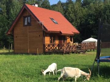 Фотографии Дома для отпуска Wypoczynek na Mazurach U Sebka г. Лукта (Польша) №3 Фото Дома для отпуска Wypoczynek na Mazurach U Sebka г. Лукта 3